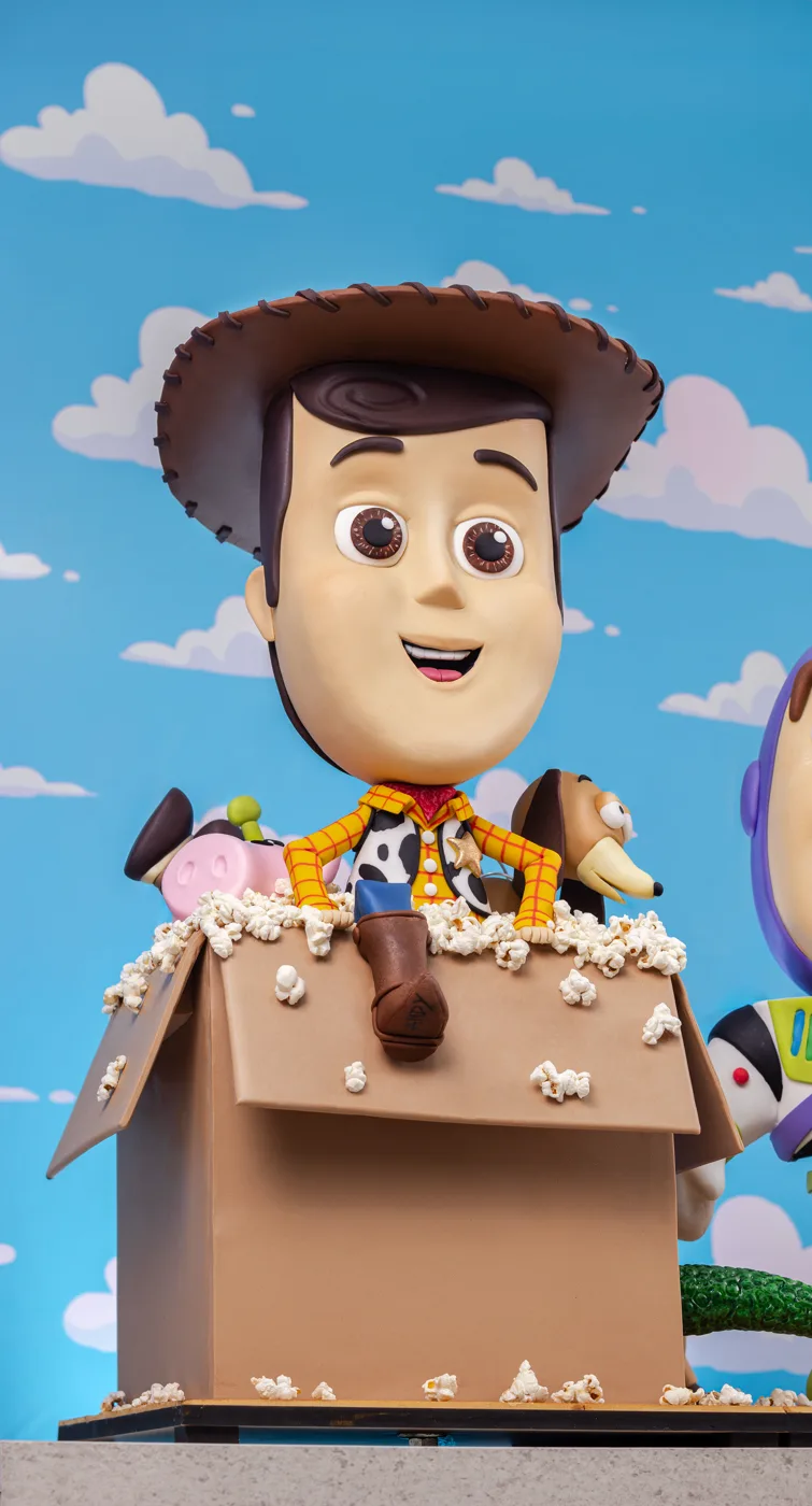 Proyecto Woody y Buzz — foto 2